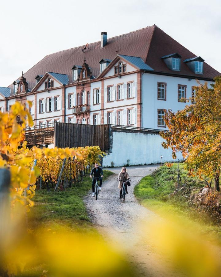 Hotel Val-Vignes Colmar Haut-Koenigsbourg, The Originals Relais Saint-Hippolyte  Exterior foto